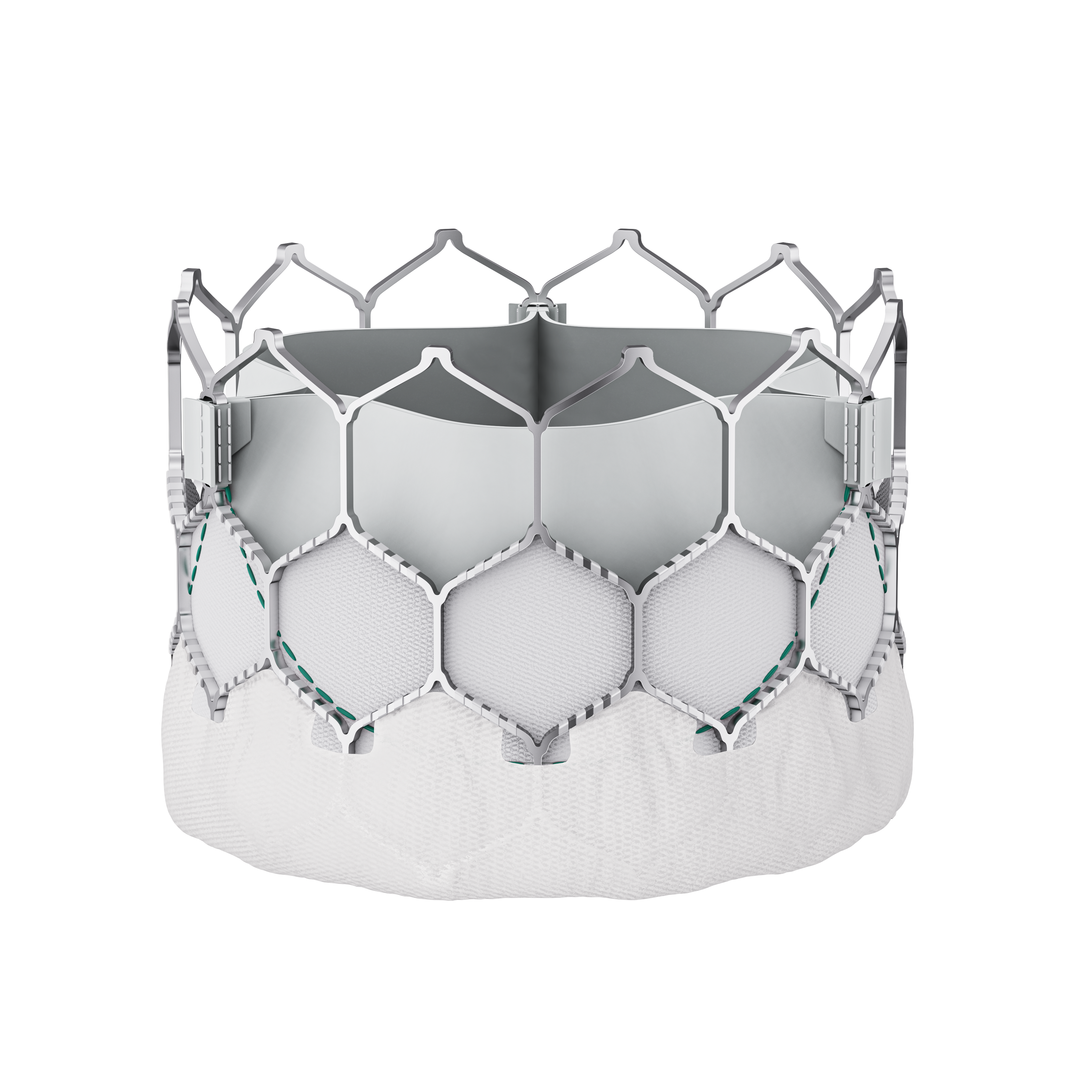 RENATUS® 经导管主动脉瓣系统